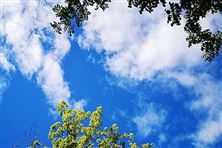 迎“藍”而上！直擊攀枝花、德陽、內江大氣攻堅現場